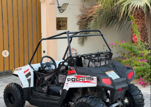 Riser 170cc – 2016 Model - 2/3