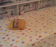 Elegant Home Centre Bed – Final Days Departure Sale