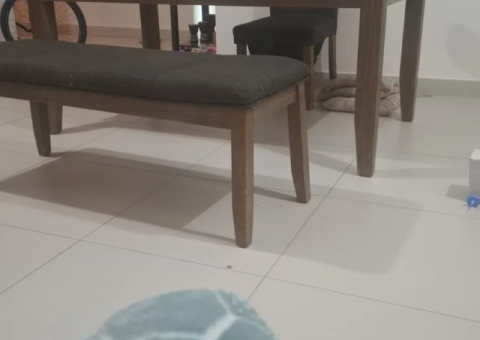 Dining Table Set – Excellent Condition