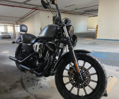 Harley Davidson 883 – 2010 Model, Fully Serviced