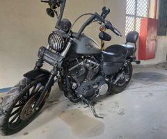 Harley Davidson 883 – 2010 Model, Fully Serviced