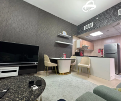 Fully Furnished 1 BHK Apartment for Sale