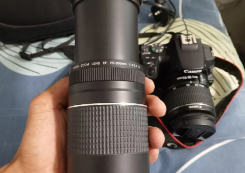 Canon 250D DSLR – Excellent Condition with Lenses & Batteries - 3/5