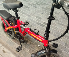 Electric Scooter with New Motor – Zero Condition