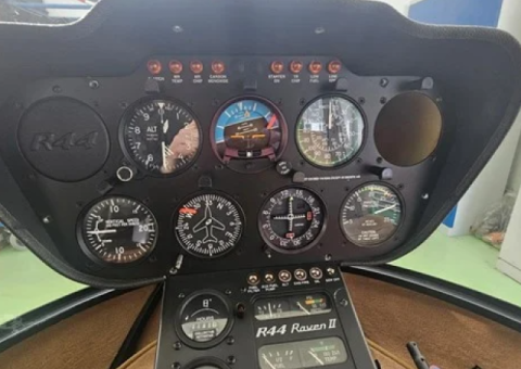 2009 ROBINSON R44 RAVEN II - 5/9