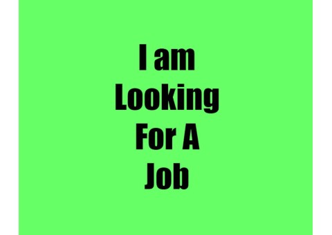 Experienced Driver Looking for Job – 4 Years UAE Experience