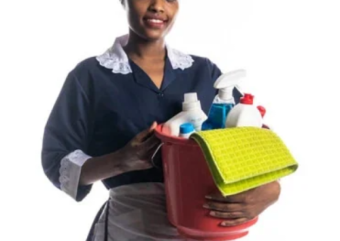 Housemaid / Nanny available for Job