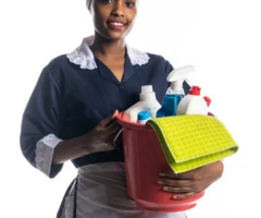 Housemaid / Nanny available for Job